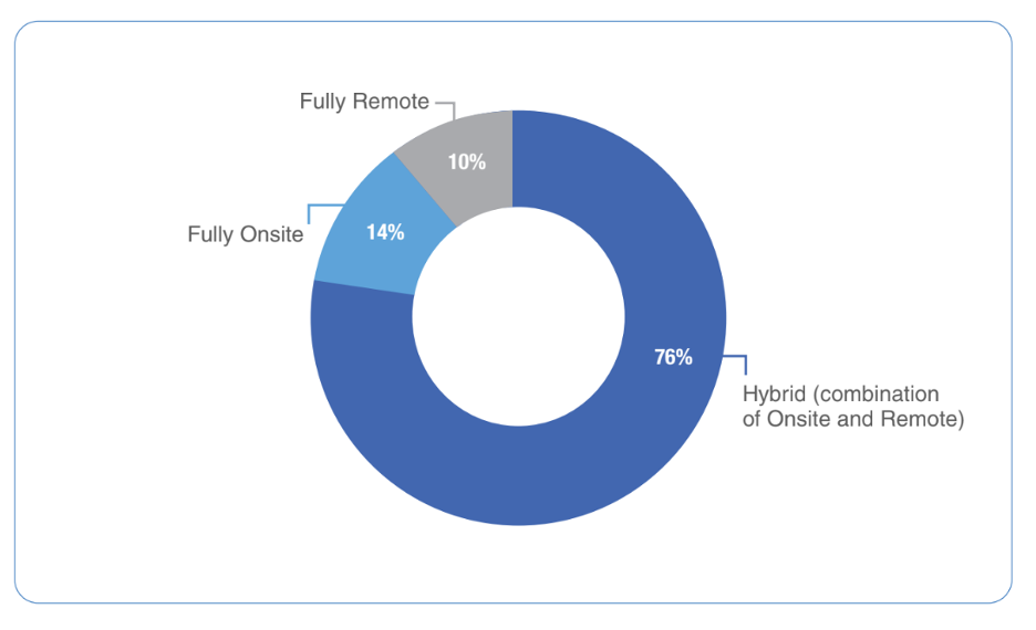 What will be your work environment plans for 2025?